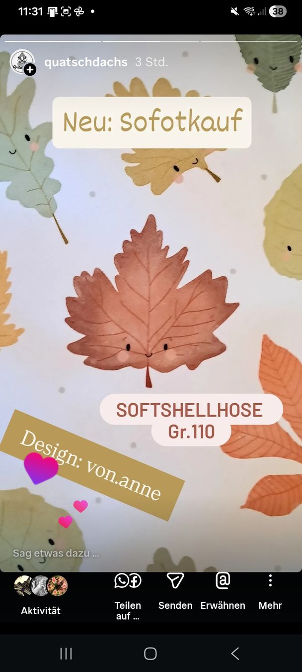 Pantalons: Softshellhose Gr.110 – Neuf avec emballage d'origine à Bänk (Dägerlen) par Quatschdachs 1