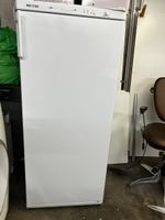 Mio Star Gefrierschrank