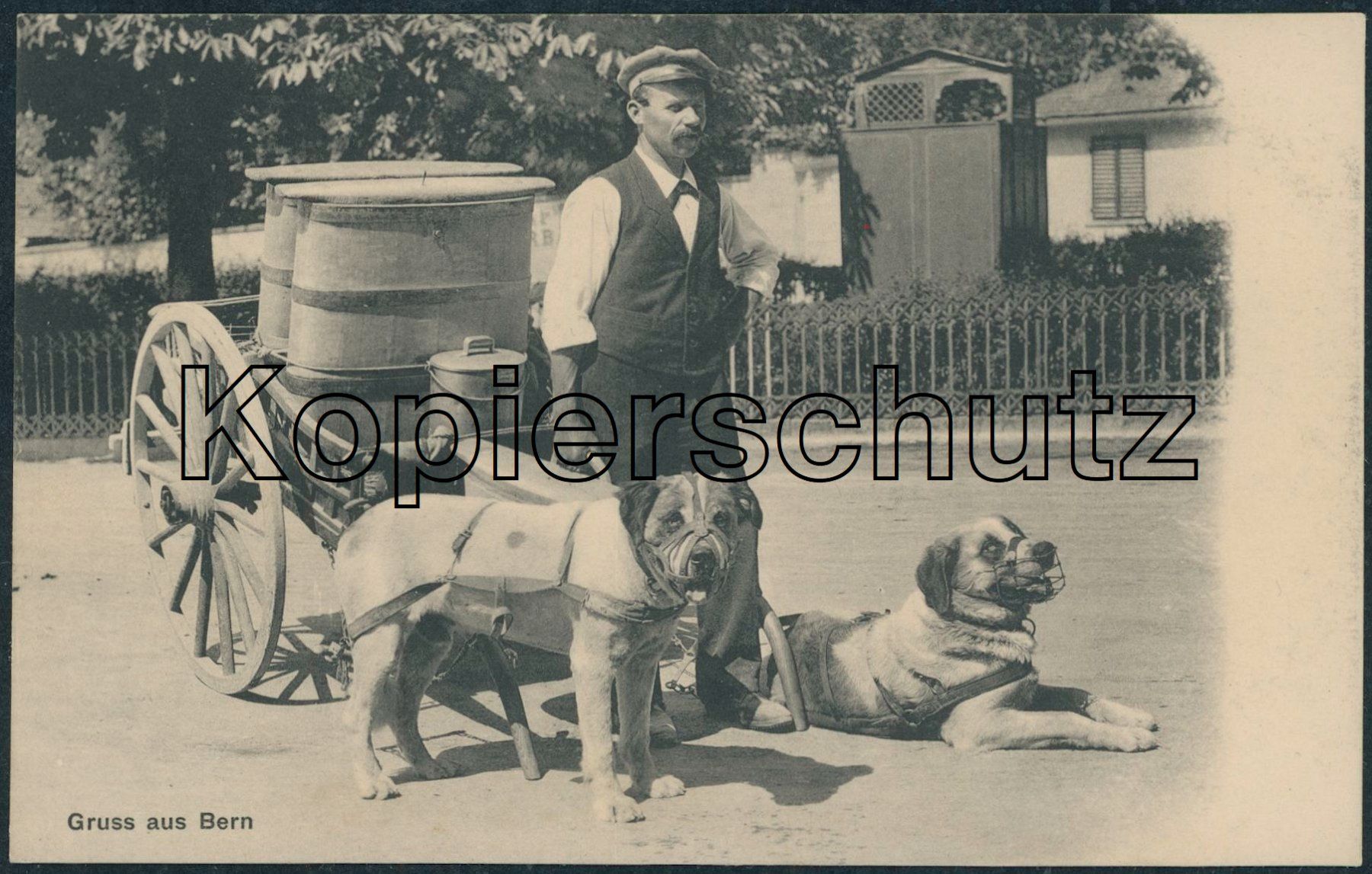 Cartoline postali: BES Bern - Milchmann - Berufe - Landwirtschaft – Nuovo (secondo la descrizione) da Schindellegi venduto da Jonathan77