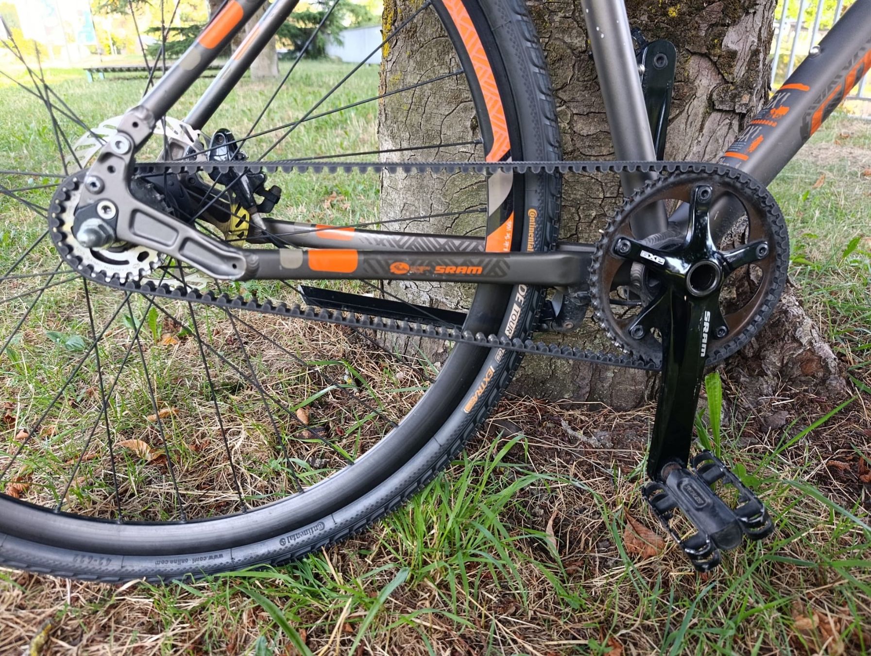 Vélos: Vélo urbain Specialized Source Two – Courroie Gates – D'occasion à Monthey par Sws5 5