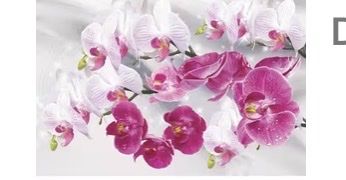 Kit bricolage: Diamond painting Bild  – Nuovo e nell'imballaggio originale da Neftenbach venduto da Carbom