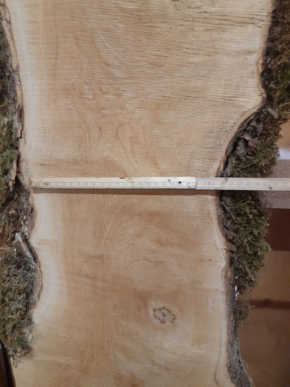 Articoli in legno: Bergahorn Bolen Bretter Nr.3 – Nuovo (secondo la descrizione) da Grindelwald venduto da carro5 4