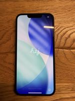 Apple iPhone 17e 256GB Black mit Garantie bis 2028