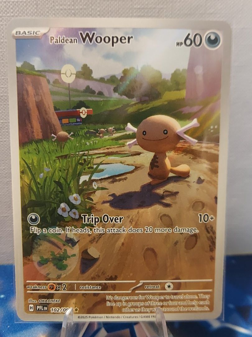 Pokémon Carte collezionabili: Carte Pokémon Paldean Wooper – Nuovo (secondo la descrizione) da Val-d'Illiez venduto da GGF2385