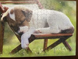 Puzzle Hund, 200 teile