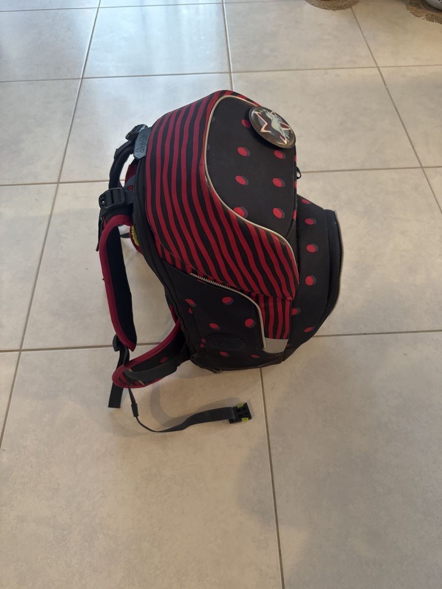 Ergobag Borse & Zaini: Ergobag Schulrucksack mit Punktemuster - Top Zustand! – Usato da Rothenthurm venduto da Elliott05 1