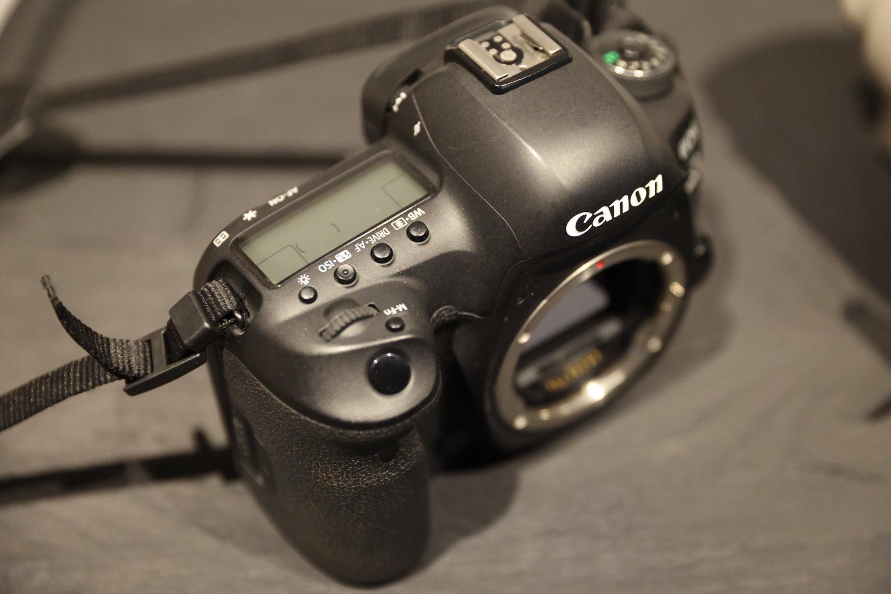 Canon Kamera: Canon EOS 5D Mk IV – Gebraucht aus Hünenberg von Harley151 4