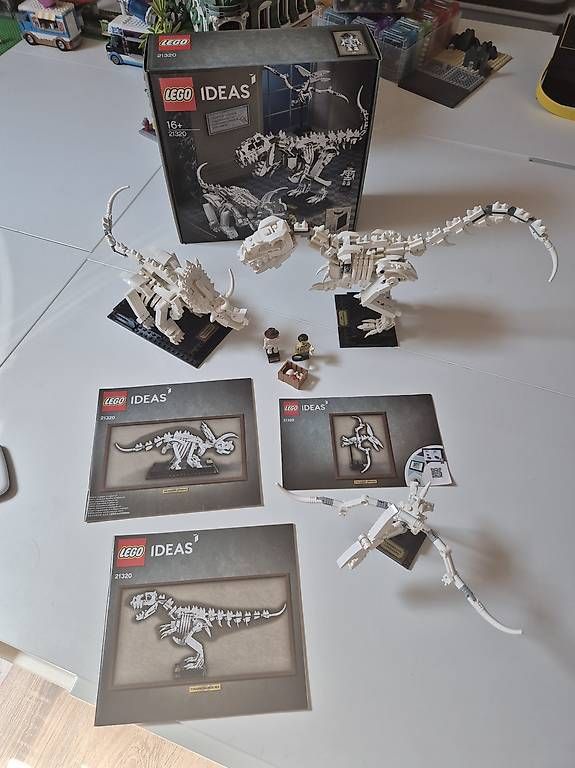 Lego Kit di costruzioni: Lego Ideas 21320 – Usato da Fey venduto da vsuso 1