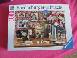Ravensburger Puzzle 1000 Teile Katzen Motiv Nr 15994