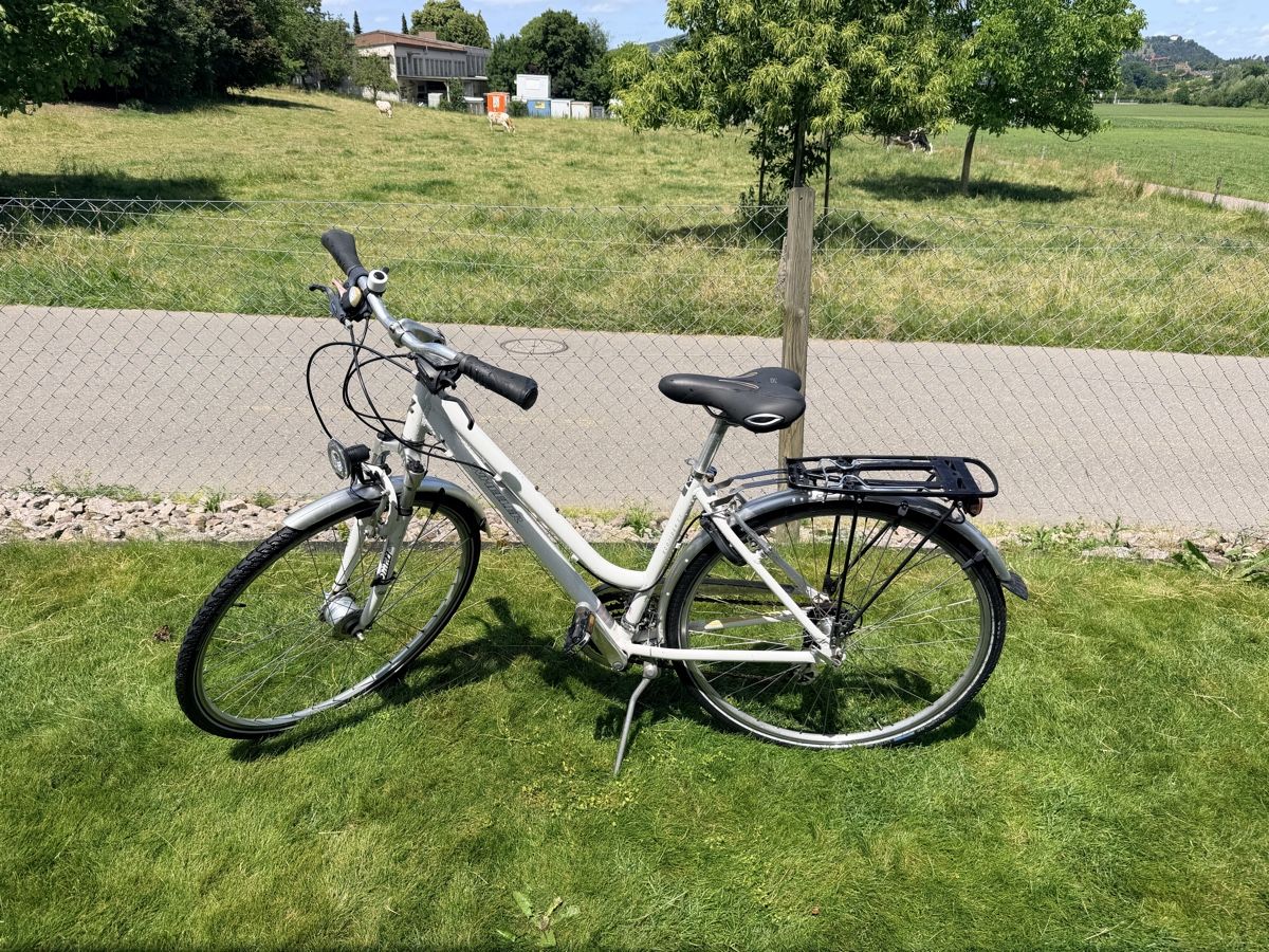Wheeler Biciclette: Weisses Velo Wheeler – Usato da Adligenswil venduto da anvil3001
