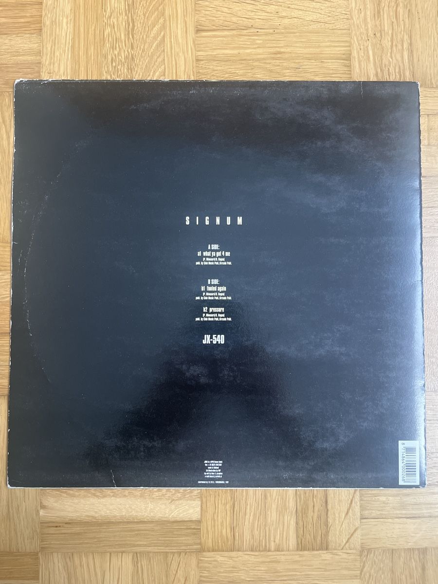 Dischi in vinile: Signum Trance / Techno Vinyl – Usato da Wangen b. Olten venduto da break72 1
