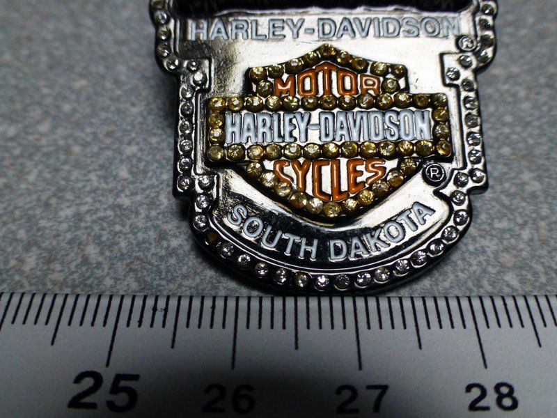Placchette & Badge: PIN PINS HARLEY DAVIDSON HOG ABZEICHEN CHAPTER V-TWIN – Usato da Gränichen venduto da Jumbo77 1