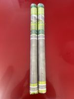 Grille protection soupirail Gardenline 120x60cm neuf