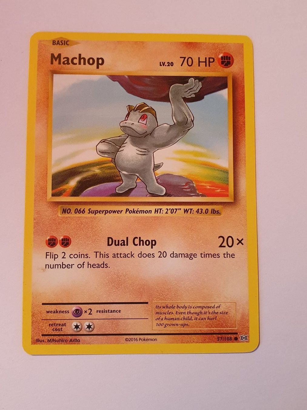 Pokémon Sammelbilder & Trading cards: Pokémon Machop 2016 TCG Card – Gebraucht aus Oberdorf BL von BaldenEagle
