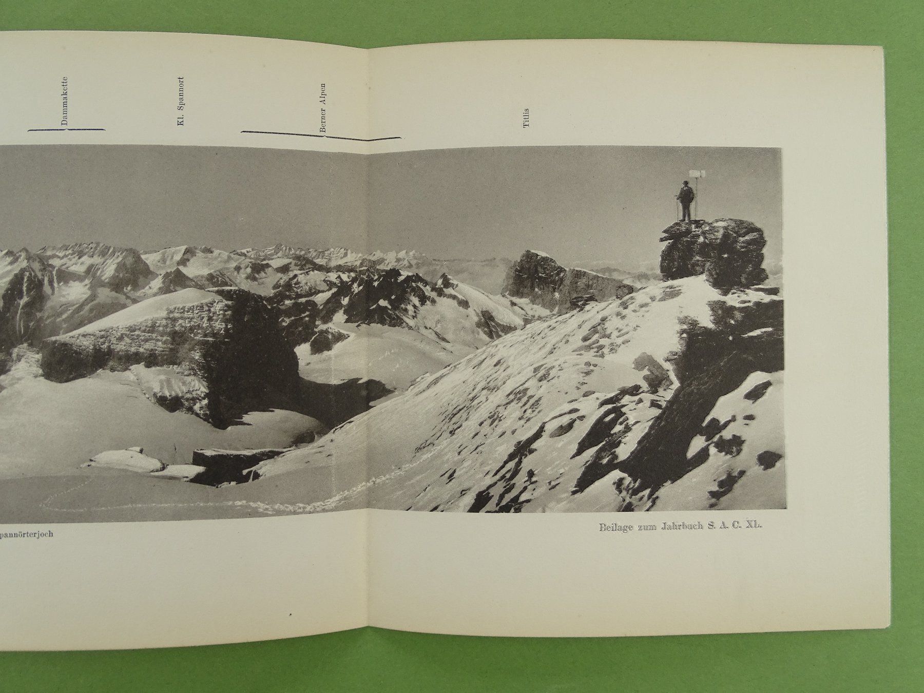 Cartine & Atlanti: PANORAMA VOM GROSS SPANNORT 1905 – Usato da Grüningen venduto da Kartensammler 2