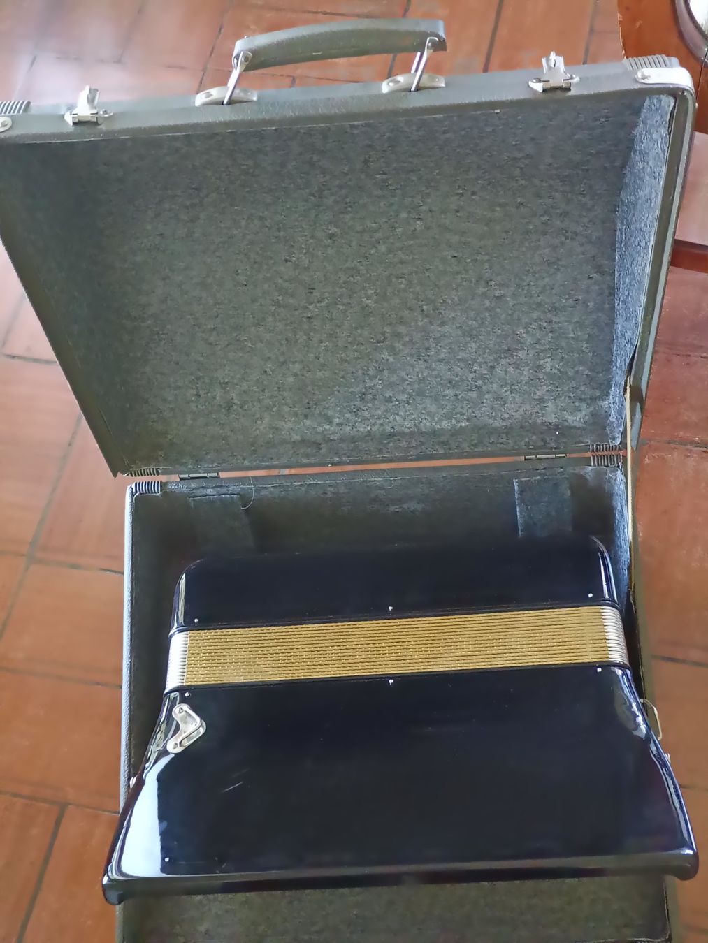 Hohner Strumenti musicali: Hohner Concerto II Akkordeon mit Koffer – Usato da Lugano venduto da riccardo012 2