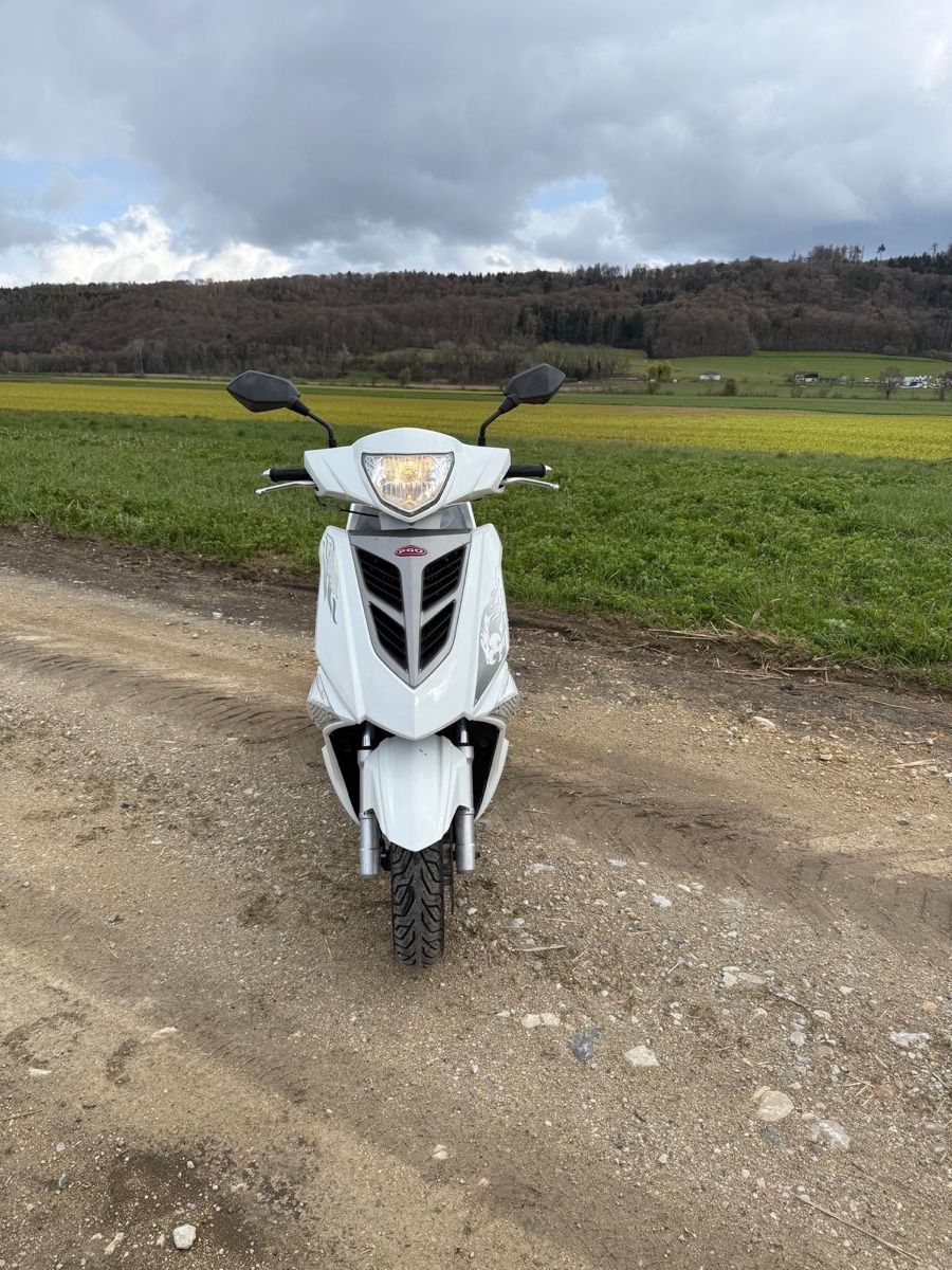Pgo Scooter: Roller – Usato da Gals venduto da markus9785 4