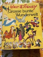Walt Disney, Grosse bunte Wunderwelt, Top 🌟📚✨