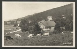 Carte P de 1929 ( Les Rasses )