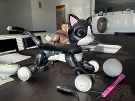 Zoomer Kitty, Roboter 