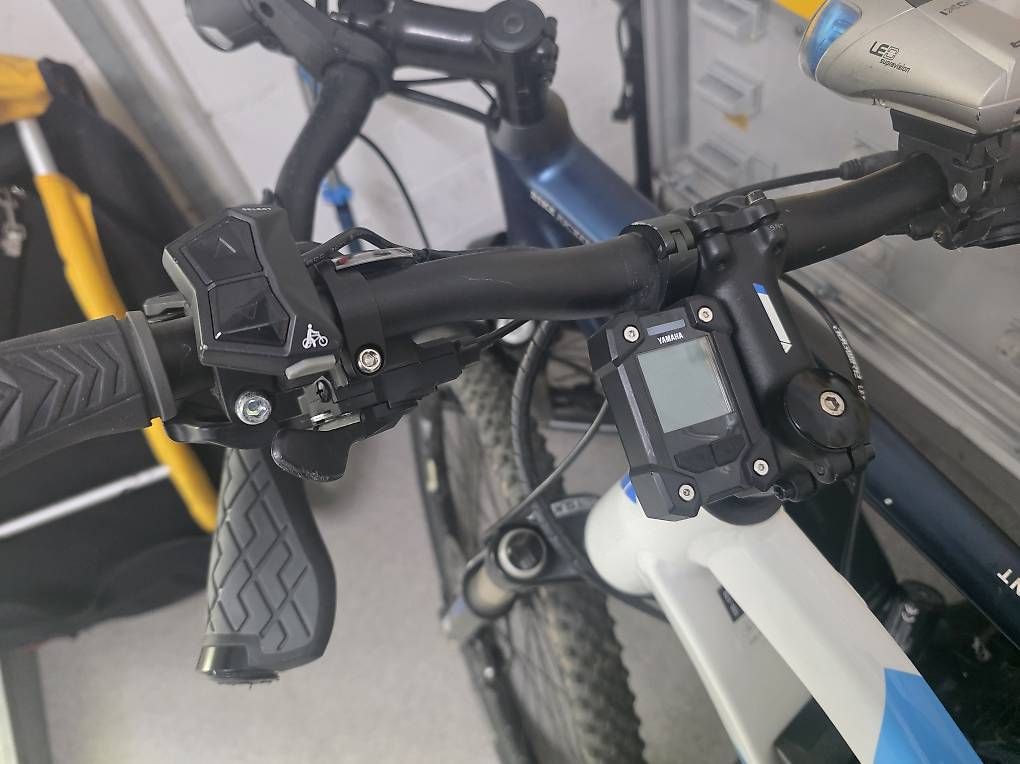 Wheeler Biciclette: Wheeler E Bike – Usato da Reinach BL venduto da SVLE 2