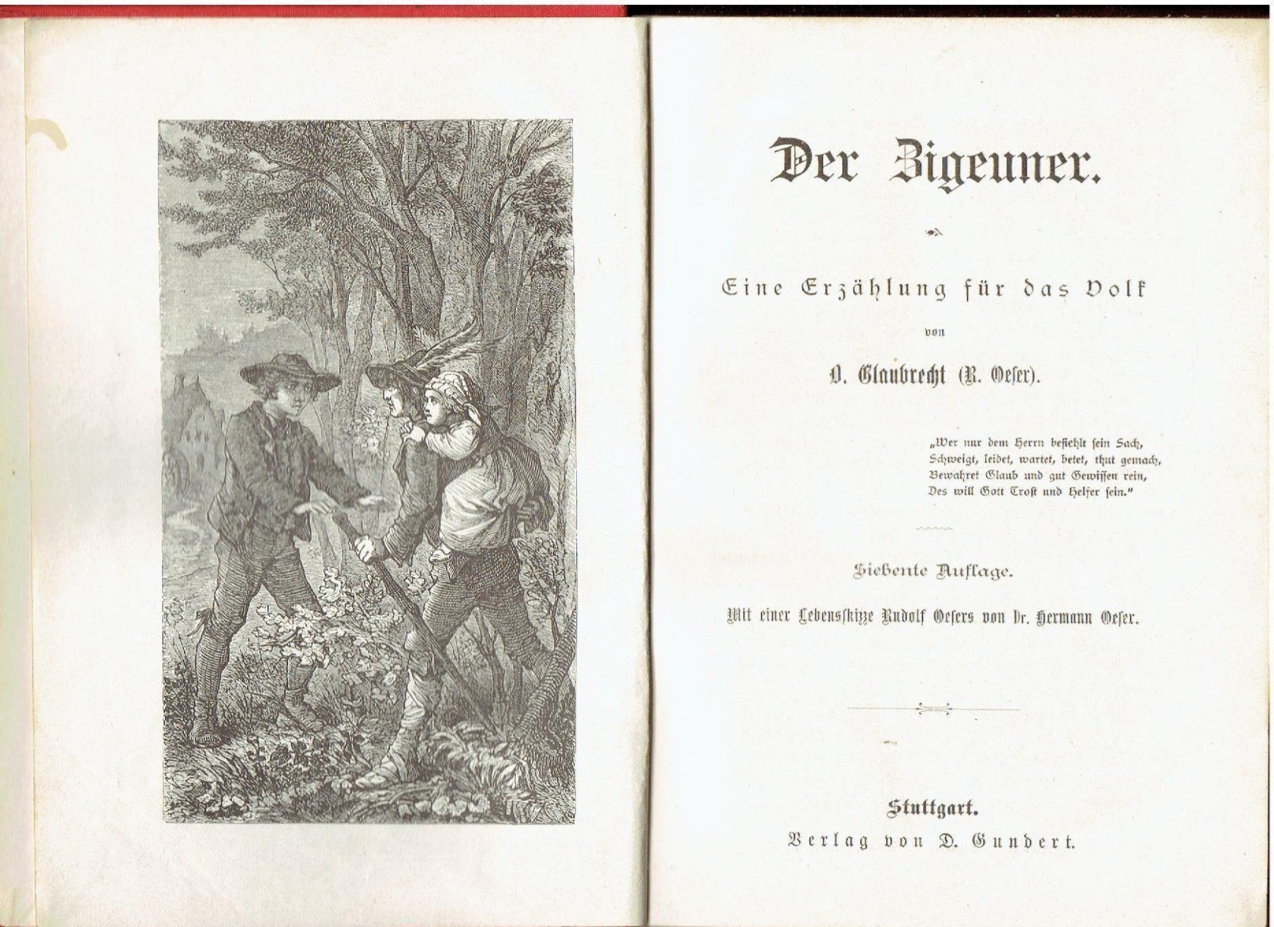 Libri: Der Zigeuner – Usato da Flims - Dorf venduto da Stagediver 1