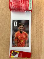Panini Coca Cola