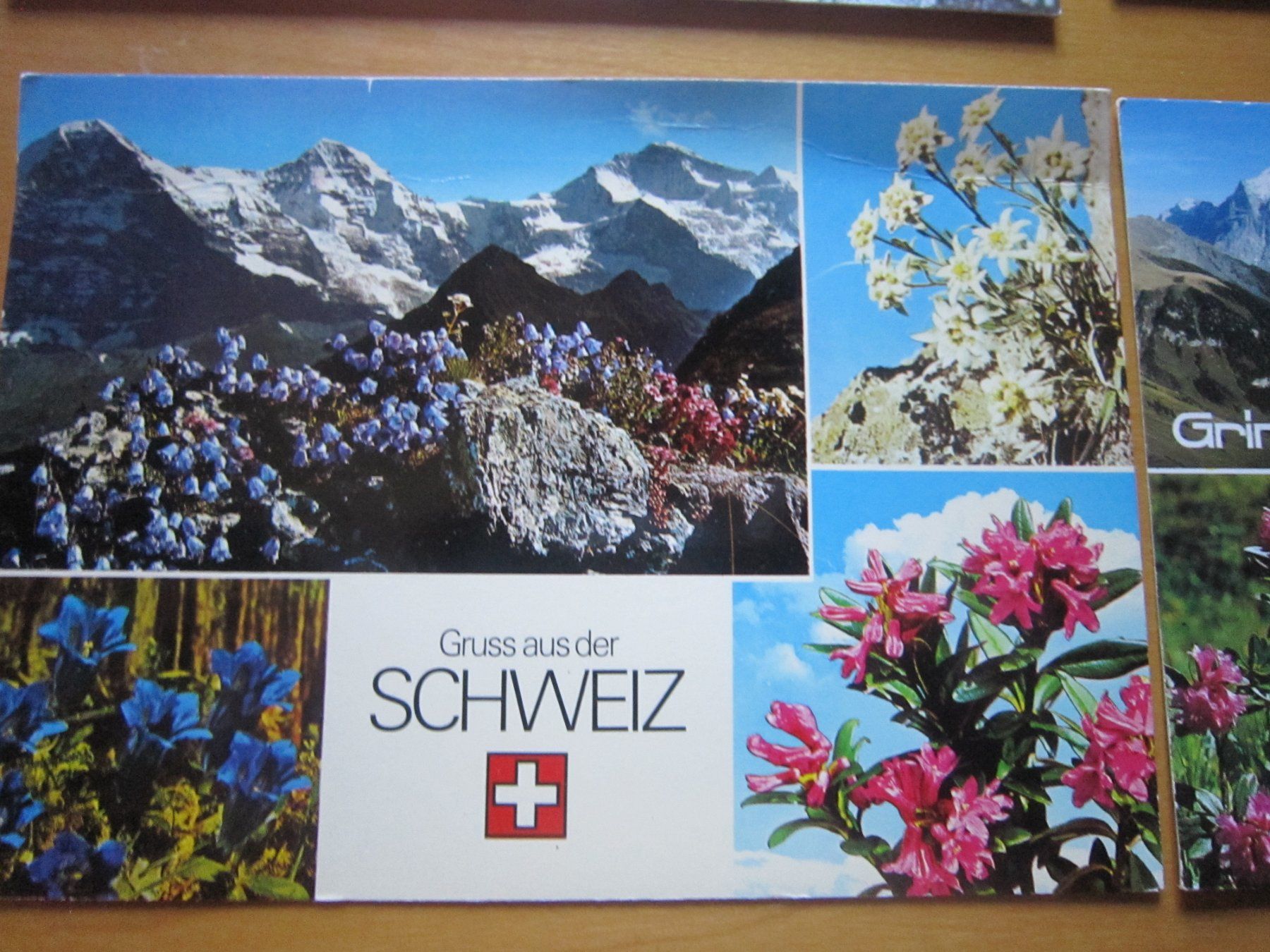 Ansichtskarten: No 2 Postkarten Bergblumen – Gebraucht aus Gordola von Polentaefung 1