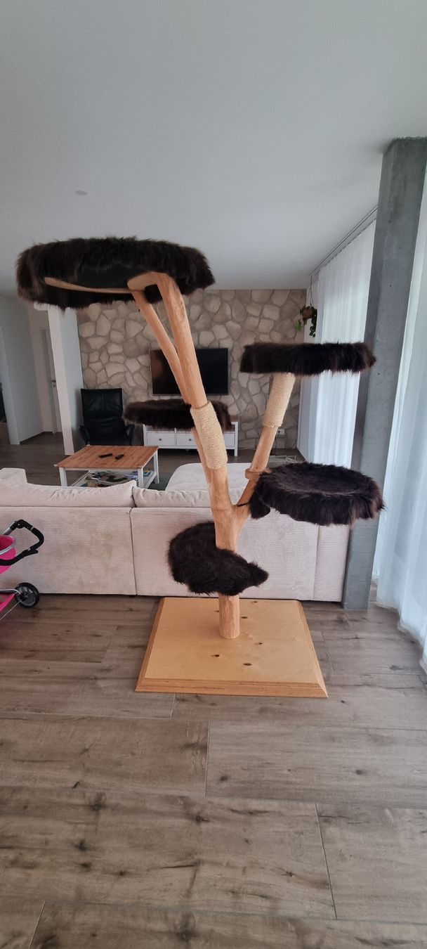 Tiragraffi: Designer Kratzbaum mit 5 Ebenen aus Echtholz – Usato da Hunzenschwil venduto da niicoo 5
