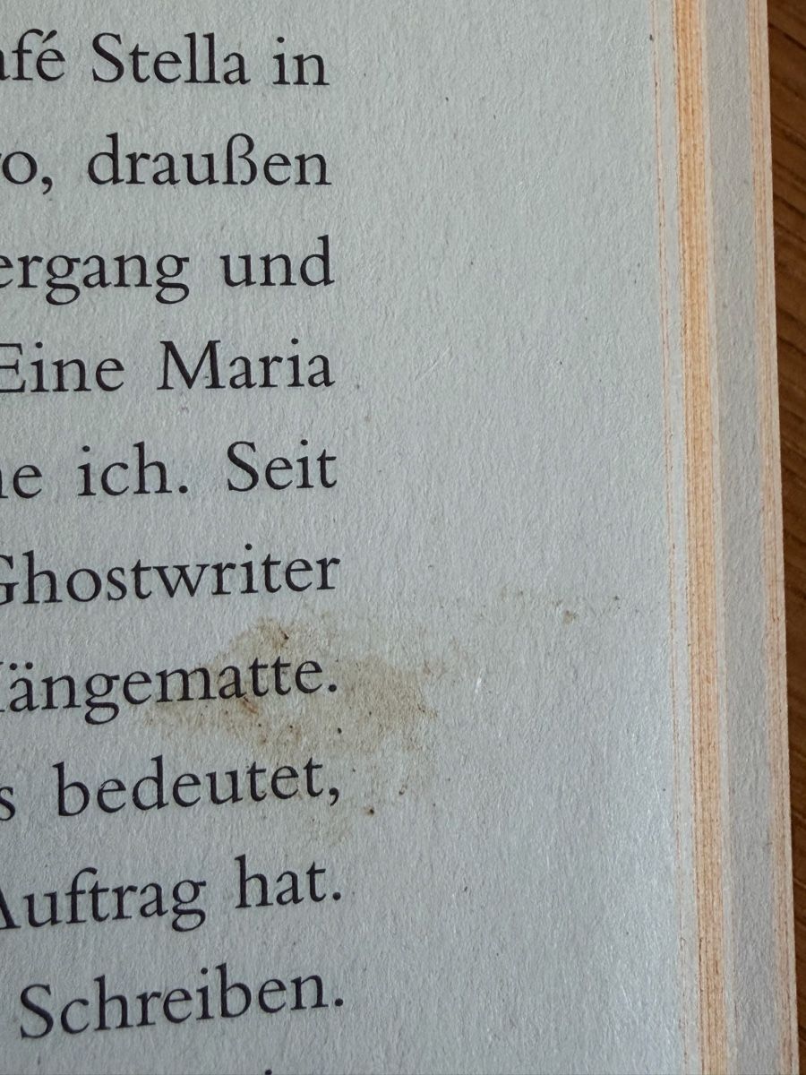 Libri: Simone Meier - Die Entflammten – Usato da Zürich venduto da chi_9dfb 3