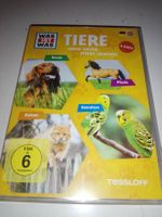 Was ist Was - Tiere: Hunde Katzen Pferde Heimtiere   4-DVD's