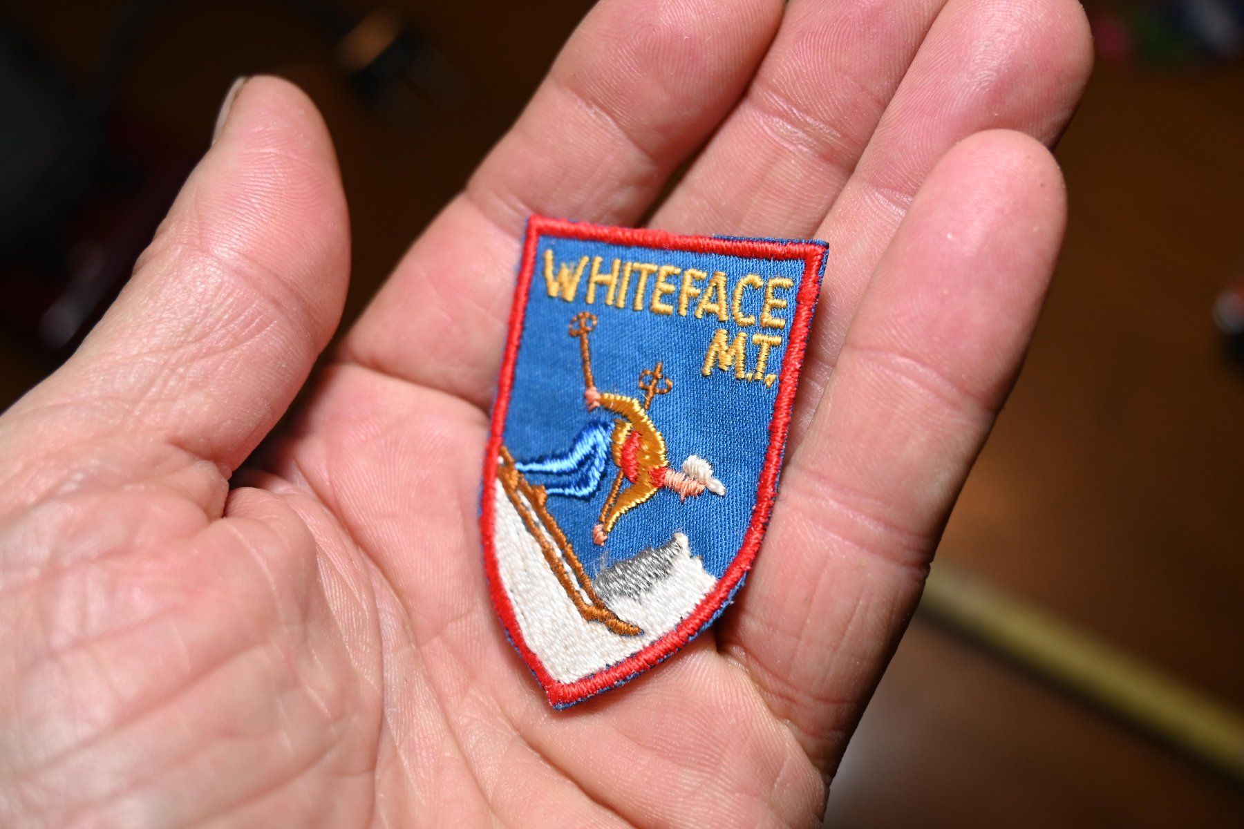 Toppe: VINTAGE Badge WHITEFACE M.T. klein – Usato da Pfaffhausen venduto da mono_rec 1