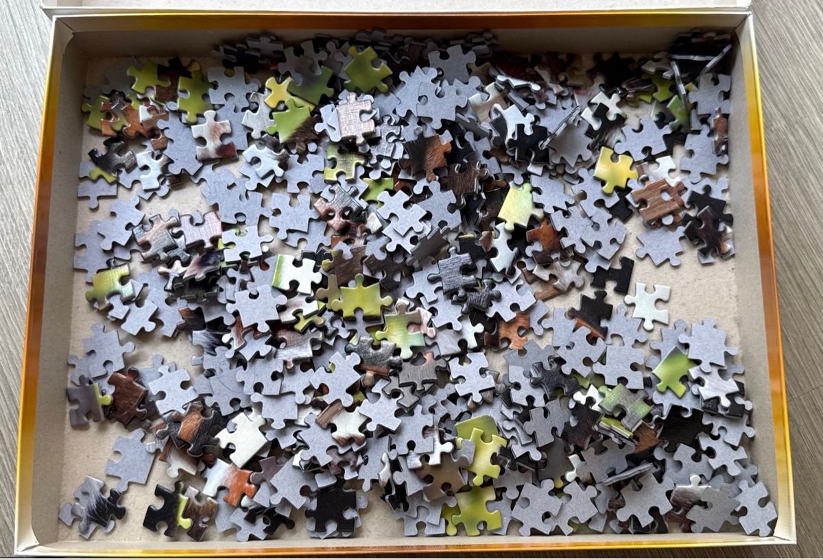 Clementoni Puzzle: Puzzle 500 Teile – Nuovo (secondo la descrizione) da Gossau ZH venduto da Maria_Feno 1
