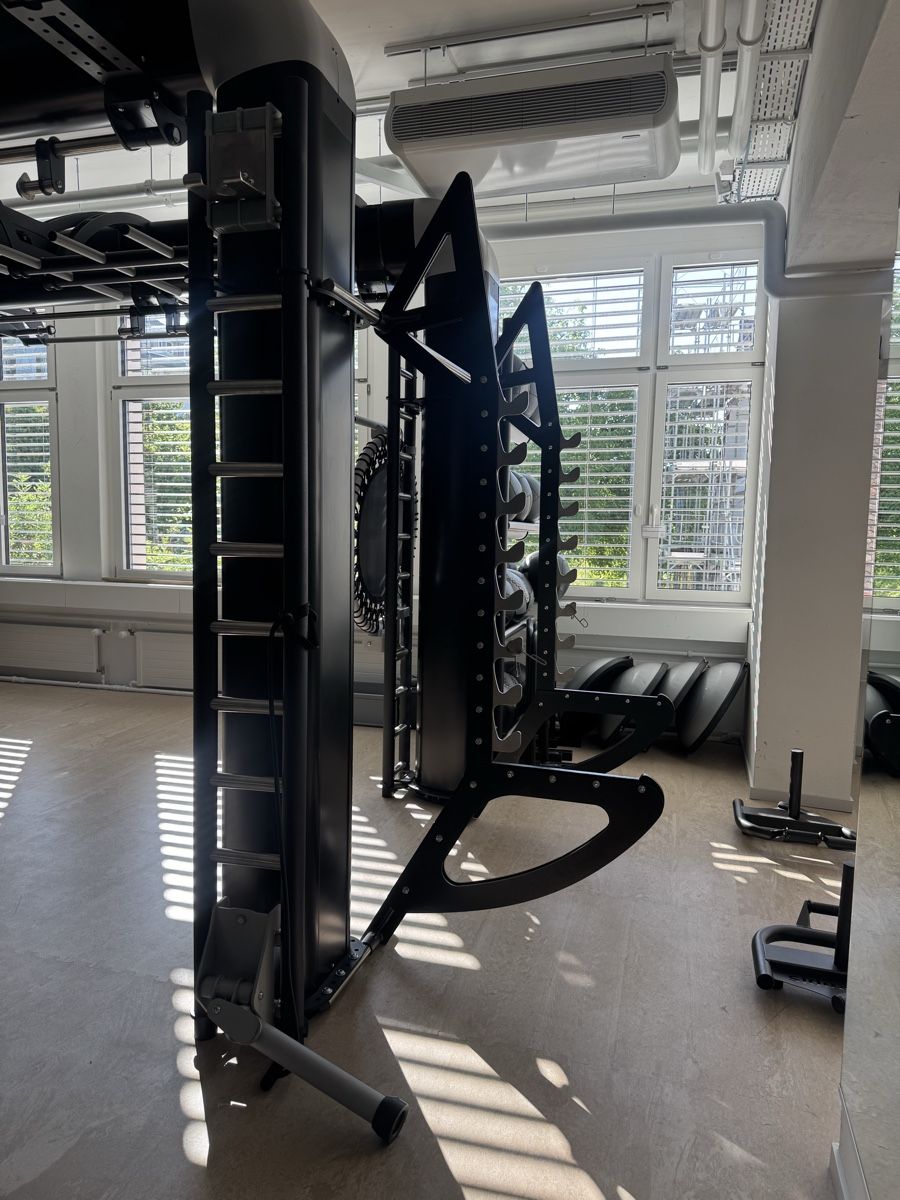 Technogym Hometrainer: Technogym OUTRACE R2-500 AVANTGARDE Functional Tower  – Usato da Wallisellen venduto da witzigs 1