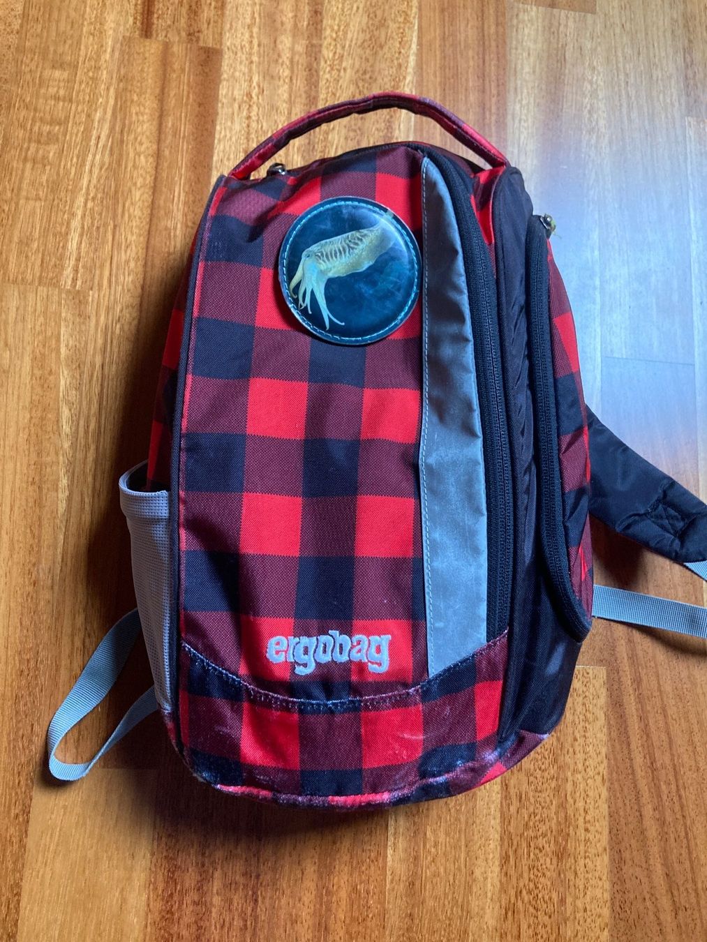 Ergobag Borse & Zaini: Ergobag Schulranzen mit Regenschutz und Turnsack – Usato da Benglen venduto da fla_5n7c 6
