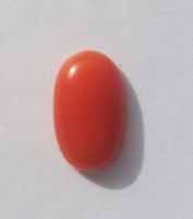 Koralle 2,5 ct Rot Oval Natur Tibet