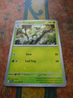 POKEMON  Floragato   G  SVI EN  014/198   HP90   2023