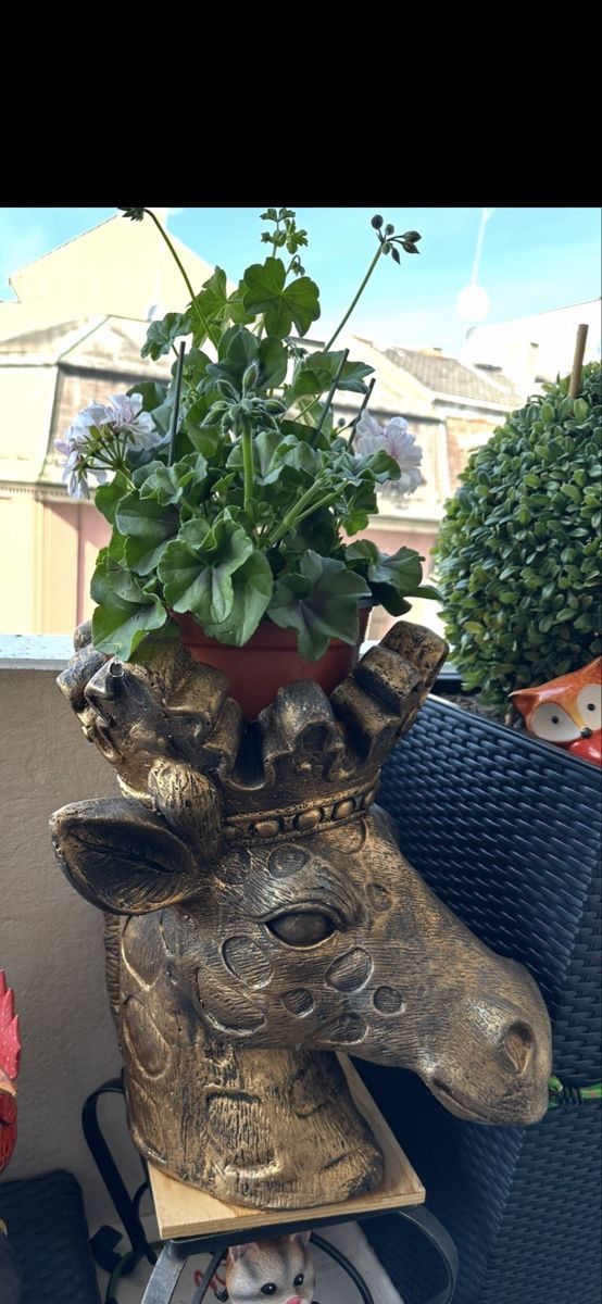 Vasi per fiori: Robuste Blumentopf mit fantastischen Optik – Nuovo (secondo la descrizione) da Basel venduto da Ivana_4 8