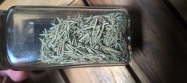 Rosmarin traditionell & natürlich getrocknet 100g