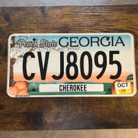 🇺🇸 U.S. Autoschild, Georgia CVJ8095 - ORIGINAL!