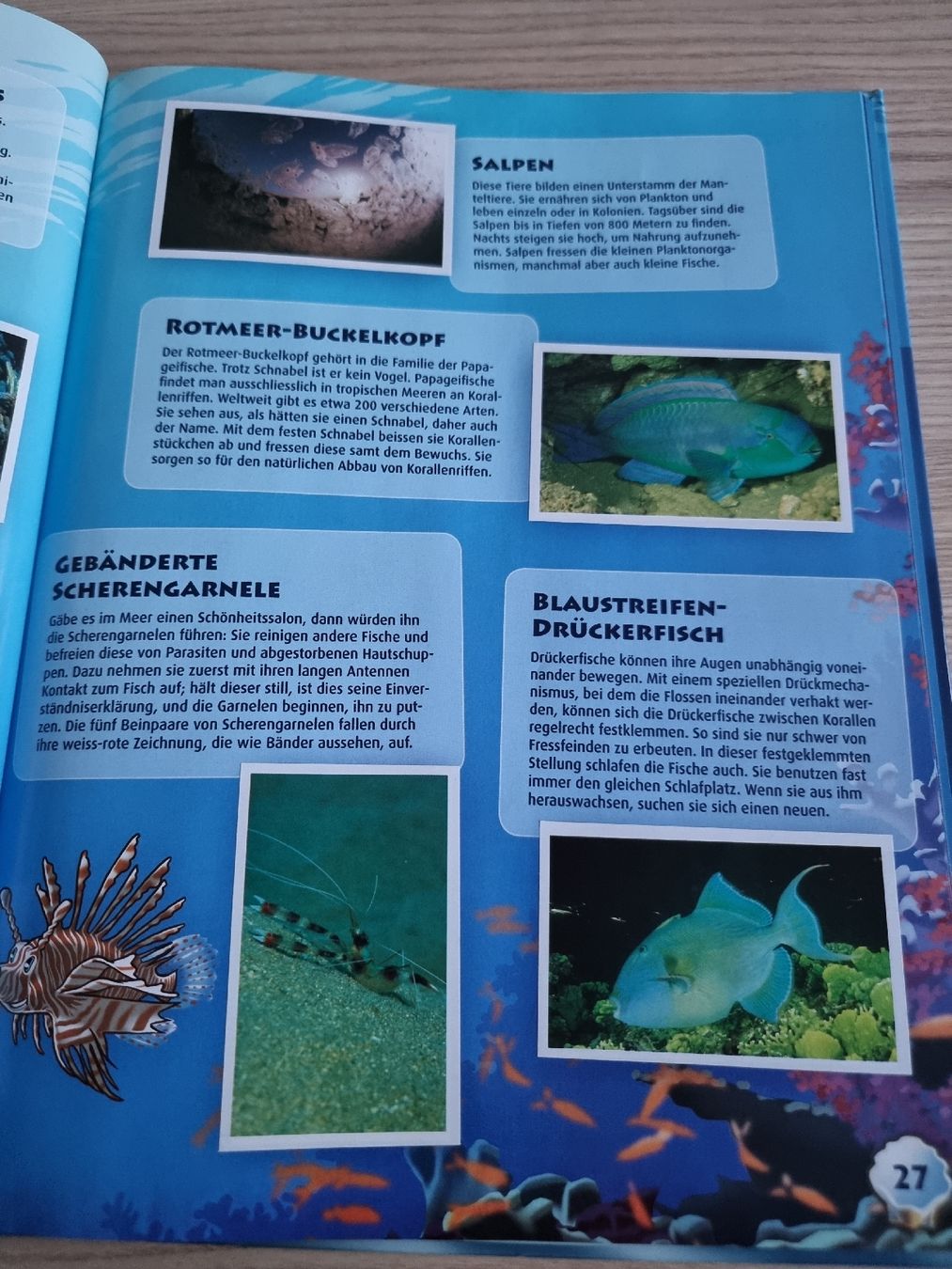 Migros Album: Lillibiggs Ocean Mania Stickeralbum – Usato da Luzern venduto da Luzern_Energy 4