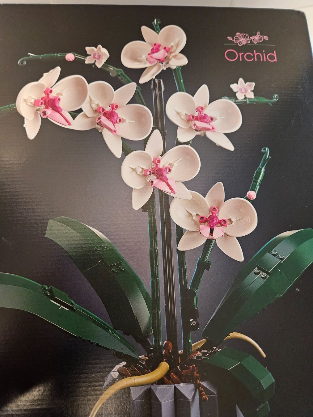Lego Baukästen: Modellset – Orchidee – ungeöffnet – Neu und originalverpackt aus Chur von gutgutgut 8