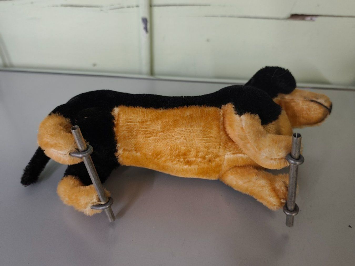 Steiff Giocattoli: Stofftier Steiff Dackel Hund – Usato da Goldswil b. Interlaken venduto da troedlermarkt-goldsw 4