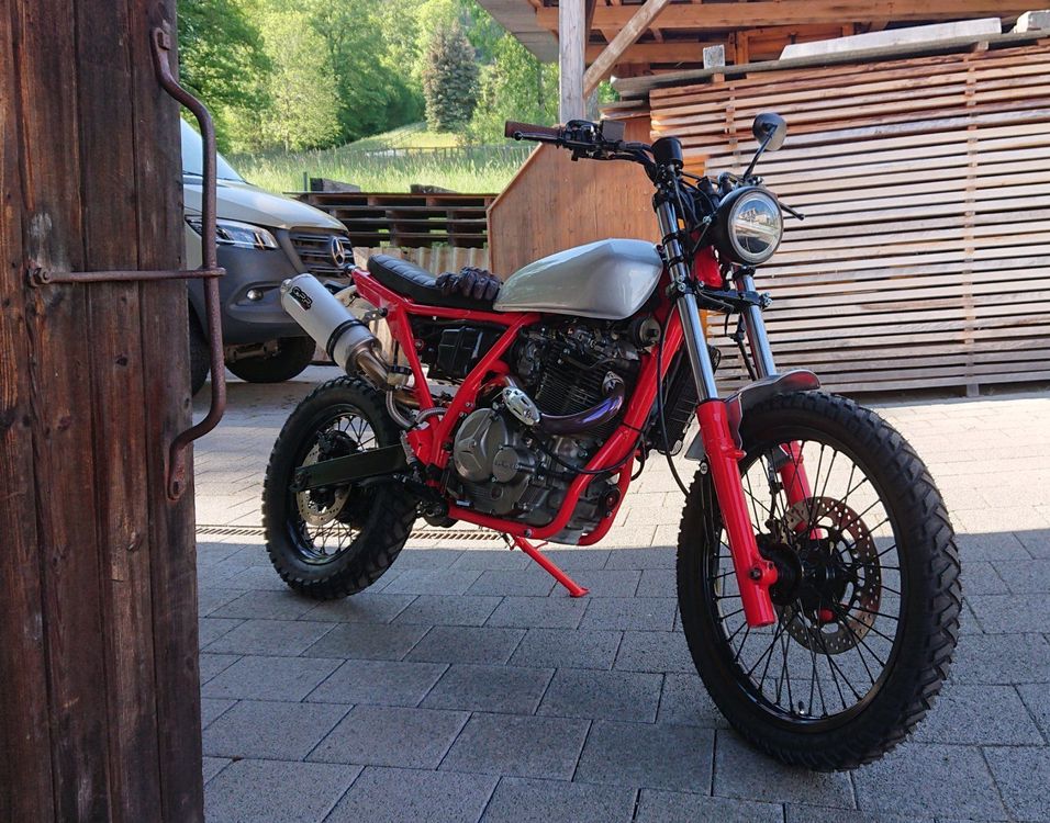 Dr cheap big scrambler