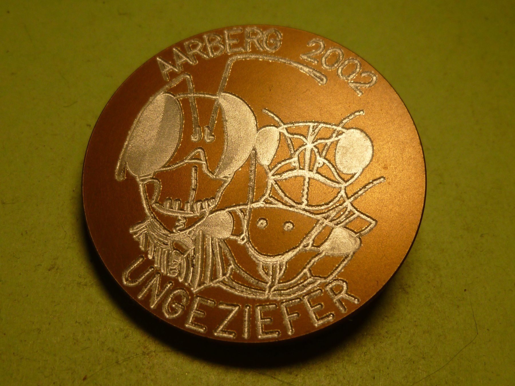 Placchette & Badge: AARBERG 2002 BRONZE – Usato da Ried (Muotathal) venduto da Mandarin02