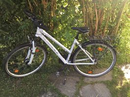 Damenfahrrad Crosswave Country gr. 48