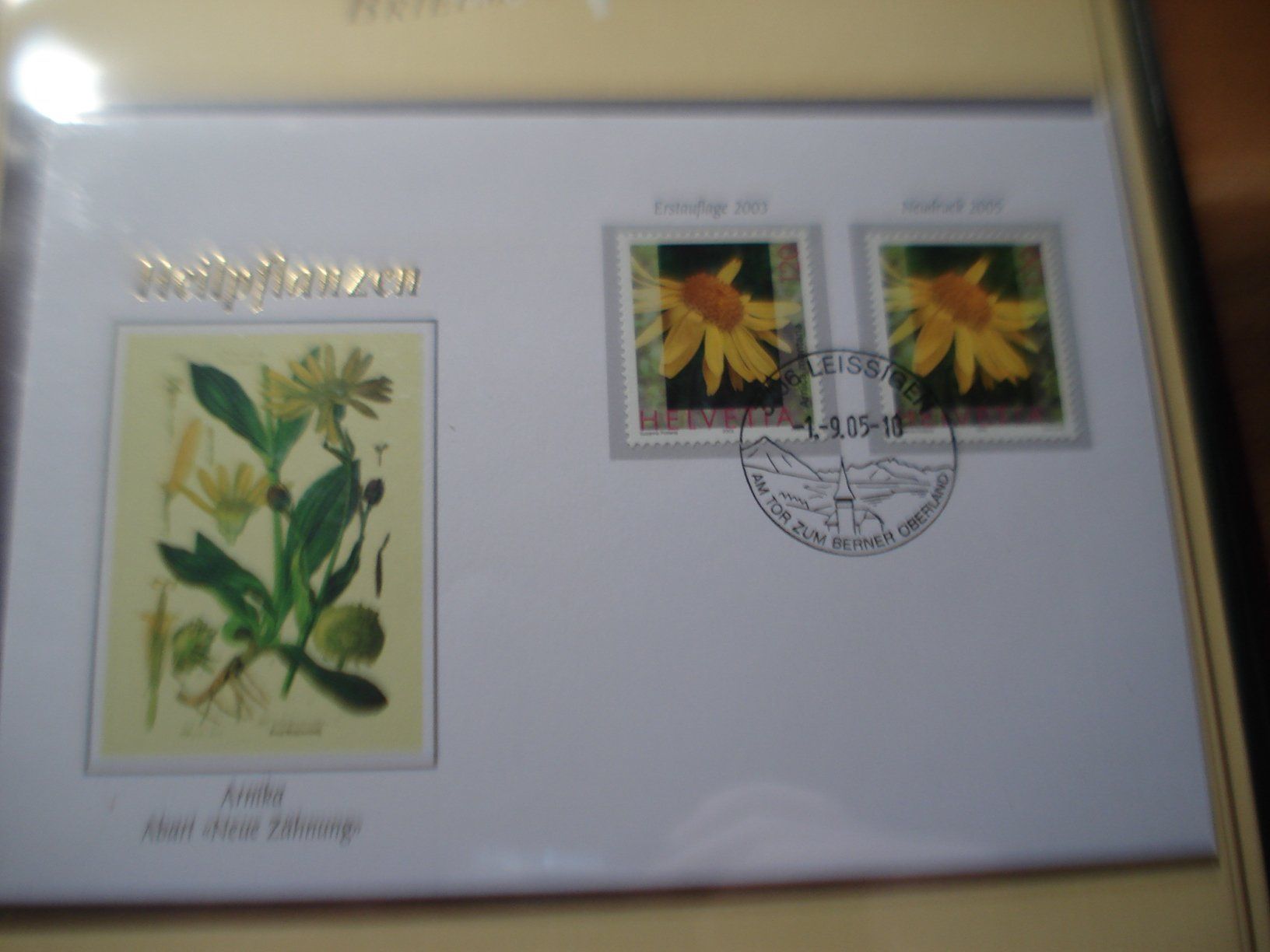 Tutti i francobolli: Abart Combo-FDC Arnika 2005, 2. Auflage – Usato da Niederwil AG venduto da morostahu