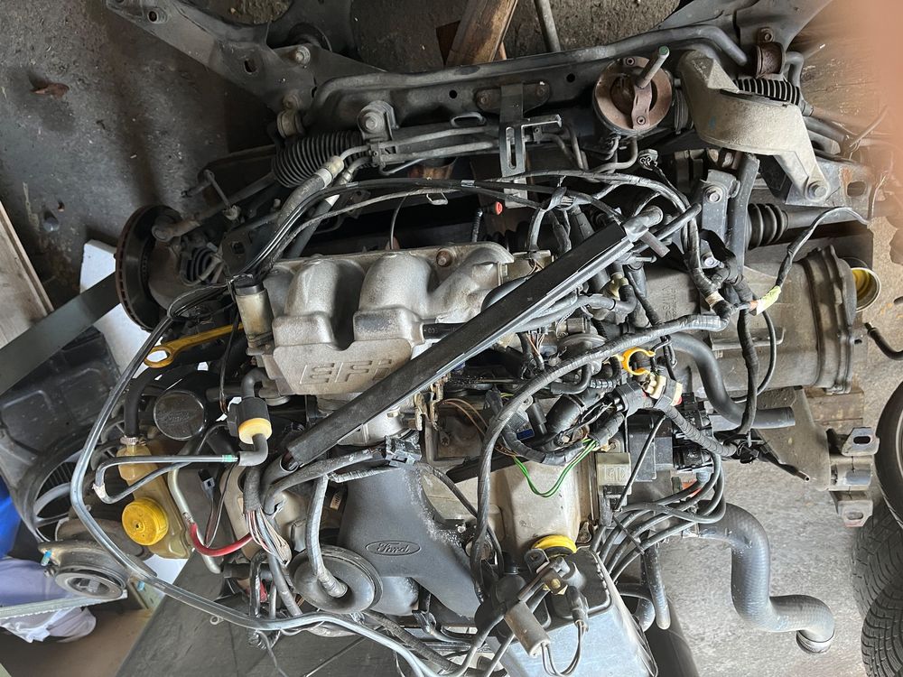Mengenteiler BOSCH 0438101031 Ford Escort RS Turbo Original Gereinigt & Geprüft