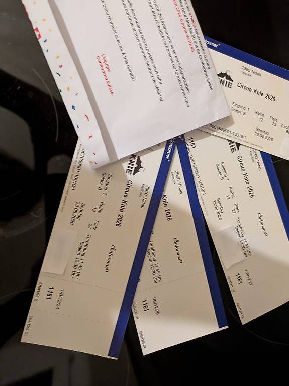 Biglietti: 4 billets pour la représentation privée du Cirque KNIE – Usato da Lausanne venduto da Mulder01 2