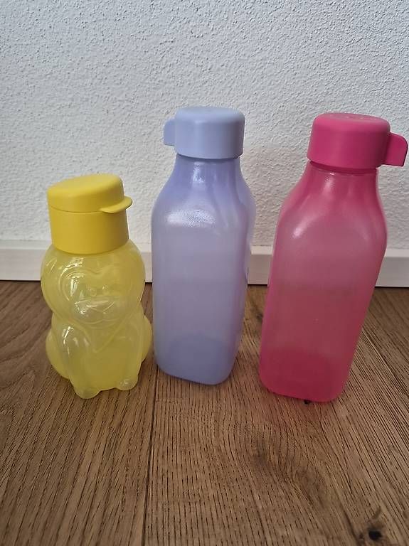 Borracce & Thermos: Trinkflaschen – Usato da Hinwil venduto da MissMel